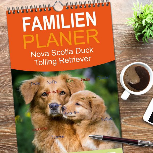 Produktbild: Familienplaner 2026 - Toller - Nova Scotia Duck Tolling Retriever mit 5 Spalten (Wandkalender, 21 x 45 cm) CALVENDO