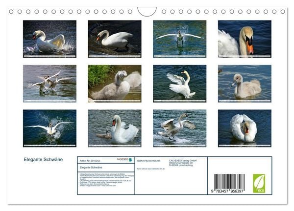 Produktbild: Elegante Schw&auml;ne (Wandkalender 2026 DIN A4 quer), CALVENDO Monatskalender