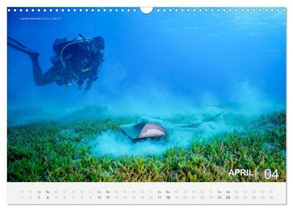 Produktbild: Die sch&ouml;nsten Korallenriffe zum Tauchen in &Auml;gypten (Wandkalender 2027 DIN A3 quer), CALVENDO Monatskalender