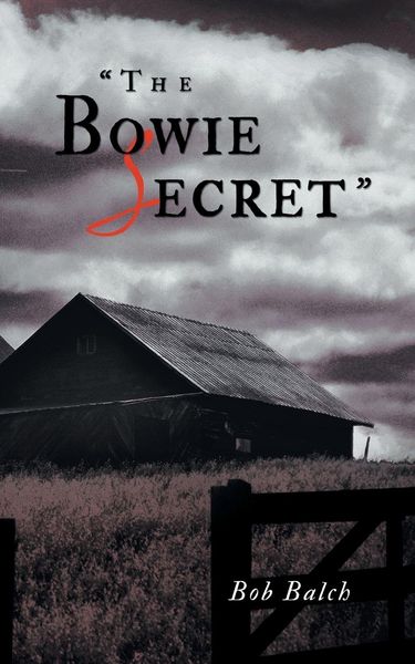 Produktbild: The Bowie Secret