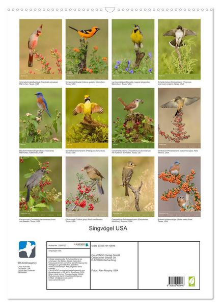 Produktbild: Singv&ouml;gel USA (Wandkalender 2026 DIN A2 hoch), CALVENDO Monatskalender