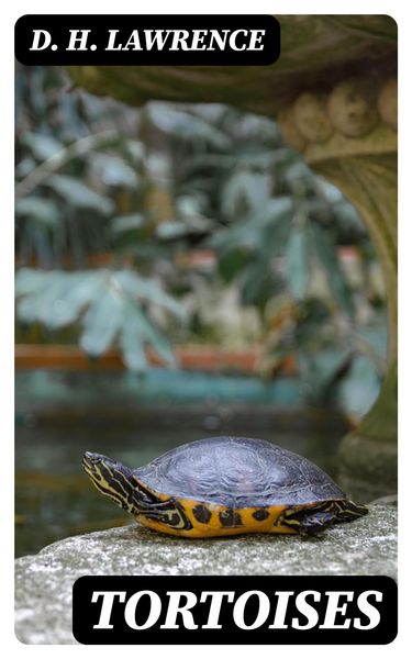 Produktbild: Tortoises