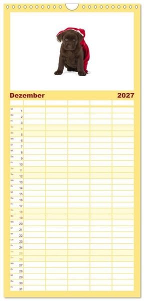 Produktbild: Familienplaner 2027 - Labrador - Welpen mit 5 Spalten (Wandkalender, 21 x 45 cm) CALVENDO