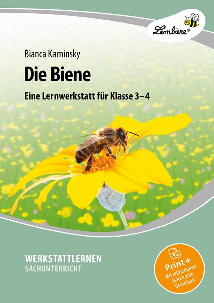 Produktbild: Die Biene. Grundschule, Sachunterricht, Klasse 3-4