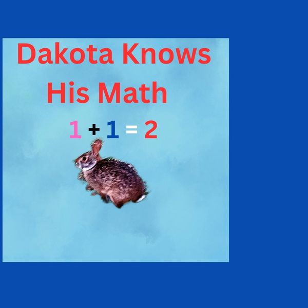 Produktbild: Dakota Knows His Math 1+1=2