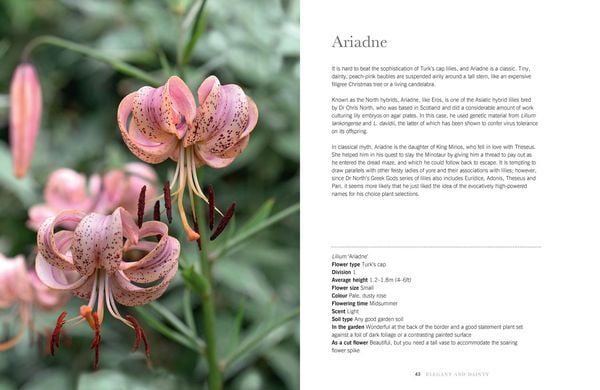 Produktbild: Lilies