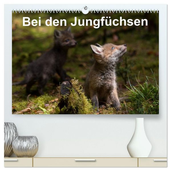 Bei den Jungfüchsen (hochwertiger Premium Wandkalender 2026 DIN A2 quer), Kunstdruck in Hochglanz