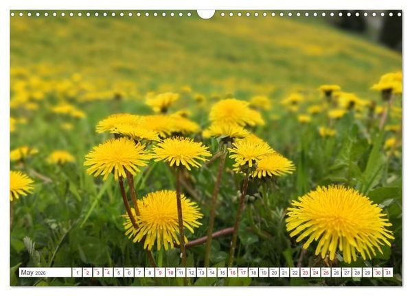 Produktbild: Engadine 2026 - Nature and landscapes (Wall Calendar 2026 DIN A3 landscape), CALVENDO 12 Month Wall Calendar