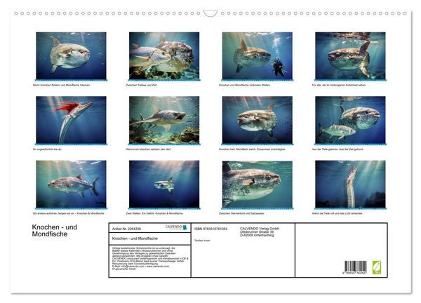 Produktbild: Knochen - und Mondfische (Wandkalender 2027 DIN A2 quer), CALVENDO Monatskalender