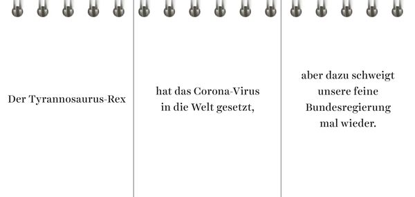 Produktbild: Der Desinformator