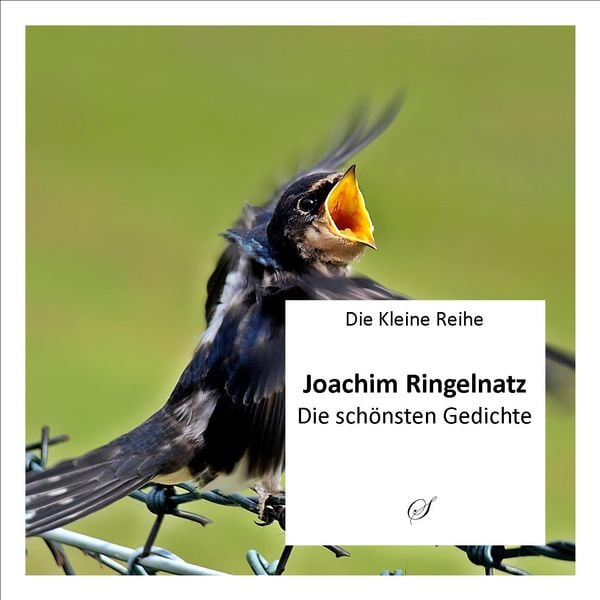 Produktbild: Die Kleine Reihe Bd. 9: Joachim Ringelnatz