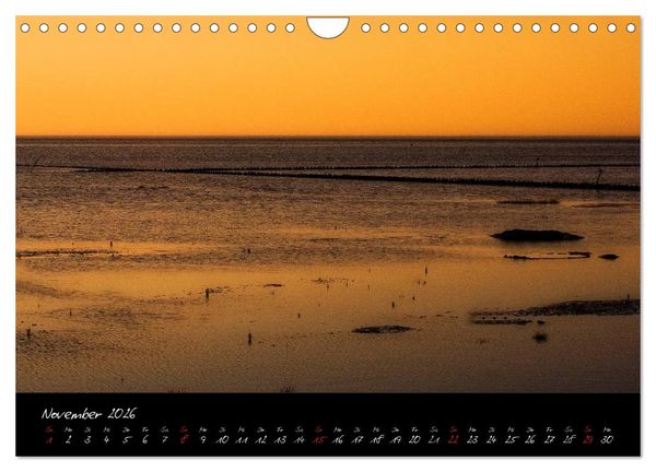 Produktbild: Friedrichskoog Buhnen und Salzwiesen (Wandkalender 2026 DIN A4 quer), CALVENDO Monatskalender