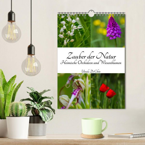 Produktbild: Zauber der Natur - Heimische Orchideen und Wiesenblumen (Wandkalender 2026 DIN A4 hoch), CALVENDO Monatskalender
