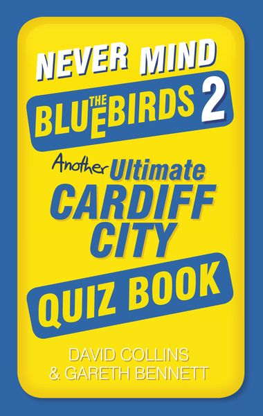 Produktbild: Never Mind the Bluebirds 2