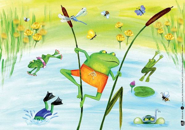Produktbild: Quacki, der kleine freche Frosch. Kamishibai Bildkartenset