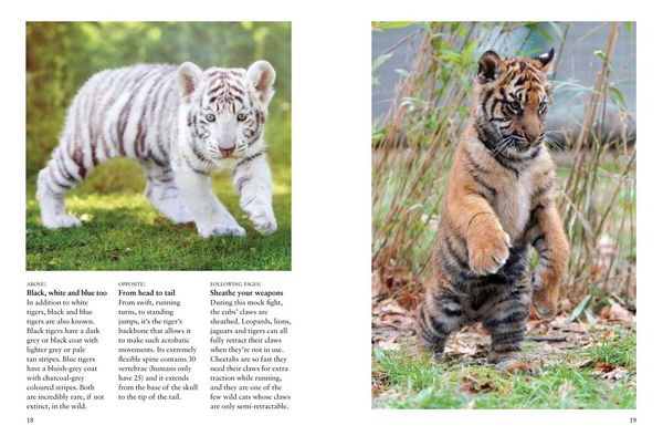 Produktbild: Tigers