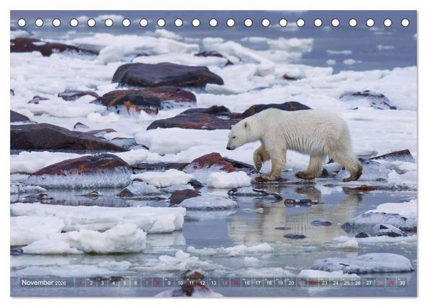 Produktbild: AN DER HUDSON BAY (Tischkalender 2026 DIN A5 quer), CALVENDO Monatskalender