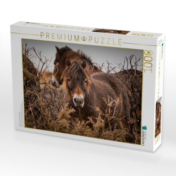Produktbild: CALVENDO Puzzle Wildes, rauhes Pferdeleben | 1000 Teile Lege-Gr&ouml;&szlig;e 64x48cm Foto-Puzzle f&uuml;r gl&uuml;ckliche Stunden