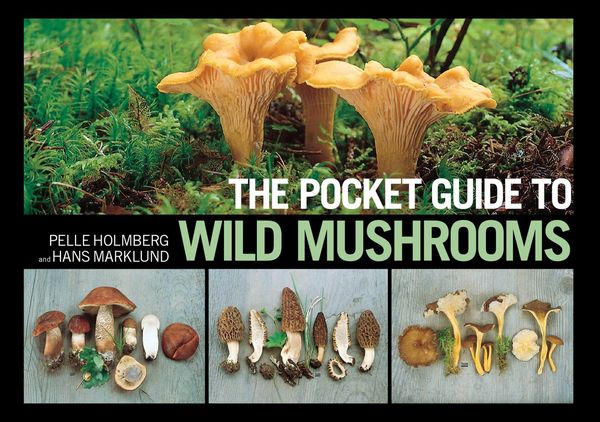 Produktbild: The Pocket Guide to Wild Mushrooms