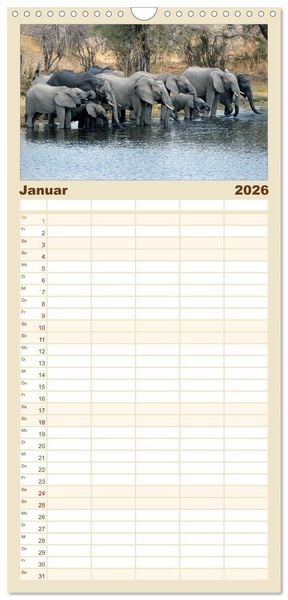 Produktbild: Familienplaner 2026 - begegnungen - elefanten im s&uuml;dlichen afrika mit 5 Spalten (Wandkalender, 21 x 45 cm) CALVENDO