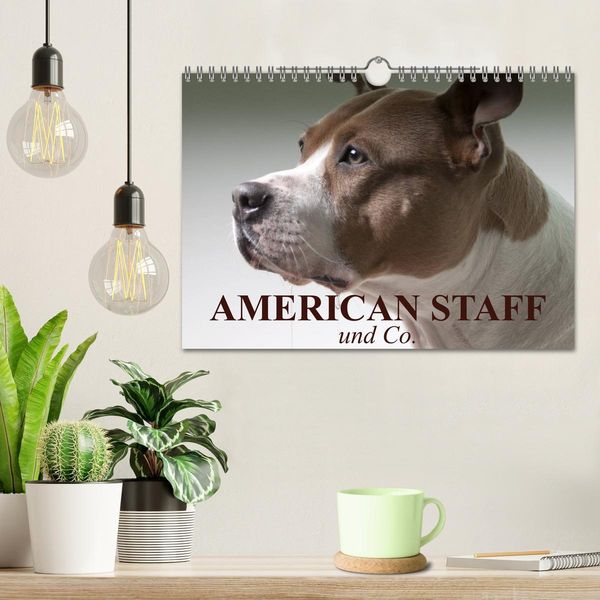 Produktbild: American Staff und Co. (Wandkalender 2026 DIN A4 quer), CALVENDO Monatskalender