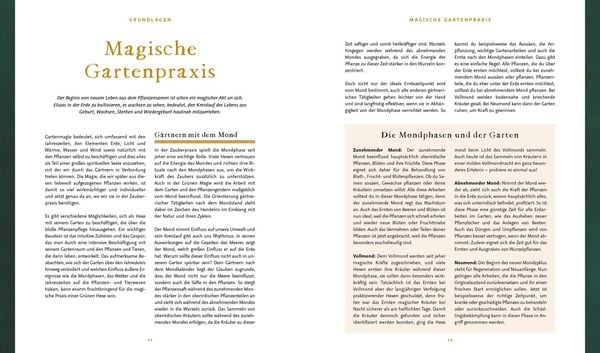 Produktbild: Magie im Hexengarten – Gärtnern mit grüner Magie
