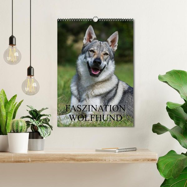 Produktbild: Faszination Wolfhund (Wandkalender 2026 DIN A3 hoch), CALVENDO Monatskalender
