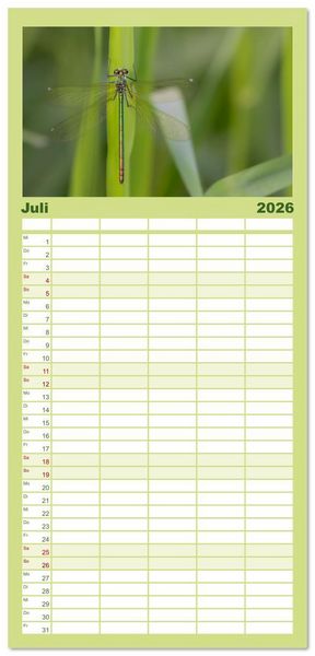 Produktbild: Familienplaner 2026 - Naturwunder Libellen mit 5 Spalten (Wandkalender, 21 x 45 cm) CALVENDO