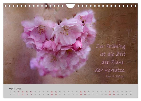 Produktbild: Jahres-Zeiten (Wandkalender 2026 DIN A4 quer), CALVENDO Monatskalender