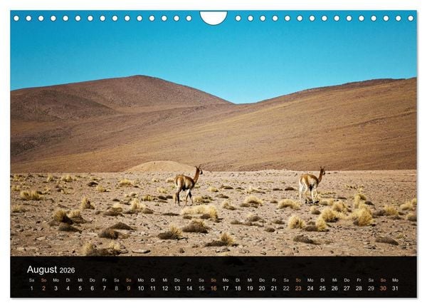 Produktbild: Atacama: Die W&uuml;ste im Norden Chiles (Wandkalender 2026 DIN A4 quer), CALVENDO Monatskalender