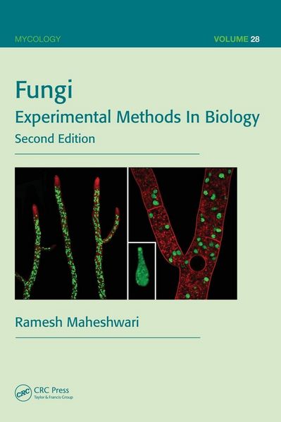 Produktbild: Fungi
