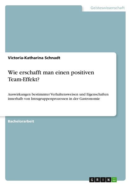 Produktbild: Wie erschafft man einen positiven Team-Effekt?