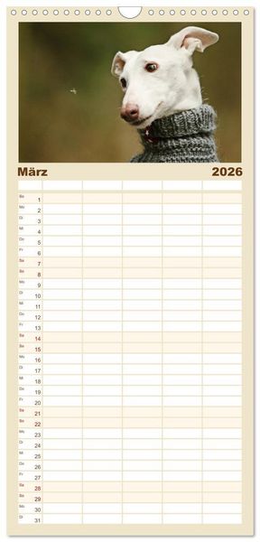 Produktbild: Familienplaner 2026 - Zauberhafte Windhunde mit 5 Spalten (Wandkalender, 21 x 45 cm) CALVENDO
