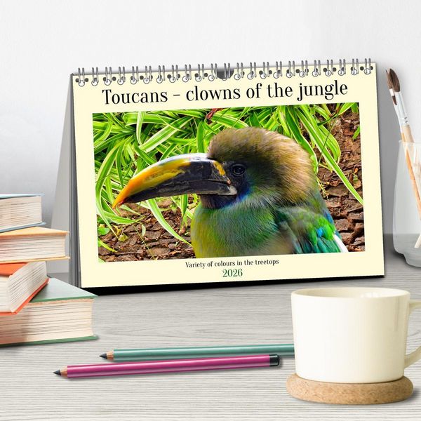 Produktbild: Toucans - clowns of the jungle (Desk Calendar 2026 DIN A5 landscape), CALVENDO 12 Month DeskCalendar