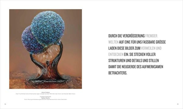Produktbild: National Geographic Verborgene Welten &ndash; Einzigartige Fotografien