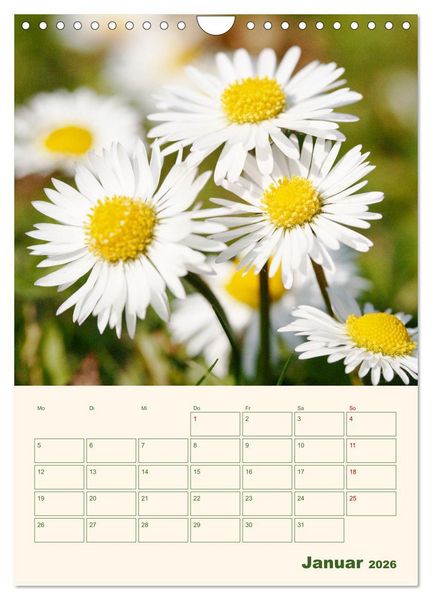 Produktbild: Vertr&auml;umte G&auml;nsebl&uuml;mchen (Wandkalender 2026 DIN A4 hoch), CALVENDO Monatskalender