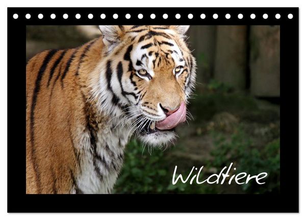 Produktbild: Wildtiere (Tischkalender 2026 DIN A5 quer), CALVENDO Monatskalender
