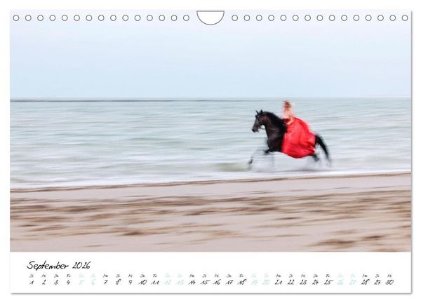 Produktbild: Pferde vom Wind verweht (Wandkalender 2026 DIN A4 quer), CALVENDO Monatskalender