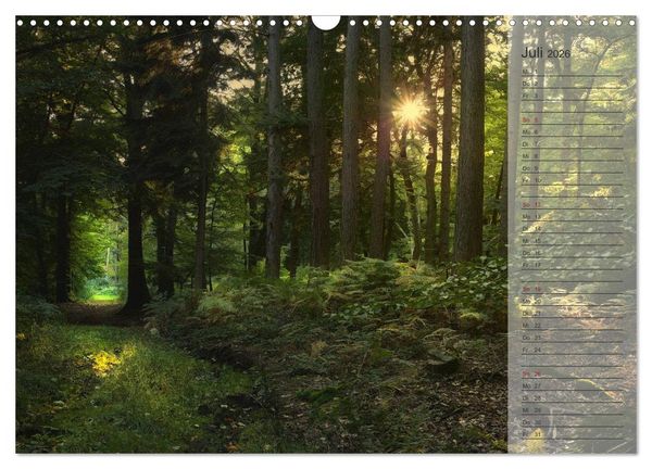 Produktbild: Unser Wald - Magische Sichten in norddeutsche W&auml;lder / Geburtstagskalender (Wandkalender 2026 DIN A3 quer), CALVENDO Monatskalender