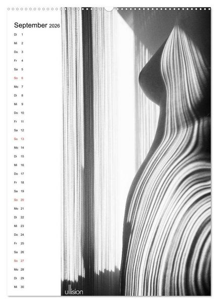 Produktbild: Akt abstrakt (Wandkalender 2026 DIN A2 hoch), CALVENDO Monatskalender