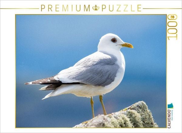 CALVENDO Puzzle Die Sturmmöwe - Eleganz und Freiheit der Küsten | 1000 Teile Lege-Größe 64x48cm Foto-Puzzle für glückliche Stunden