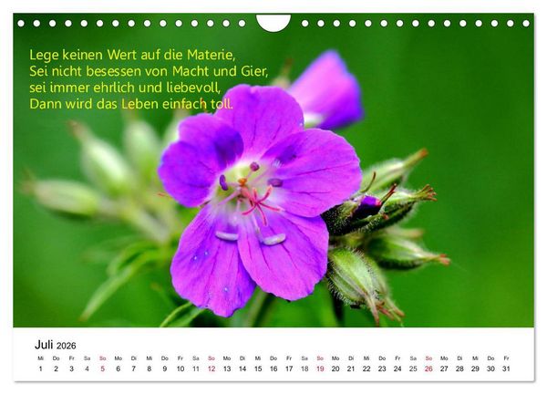 Produktbild: Lebensweisheiten 2026 (Wandkalender 2026 DIN A4 quer), CALVENDO Monatskalender