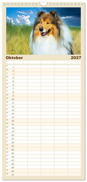Produktbild: Familienplaner 2027 - Faszinierende Rough Collies mit 5 Spalten (Wandkalender, 21 x 45 cm) CALVENDO