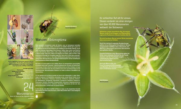 Produktbild: Mein Artenretter Garten