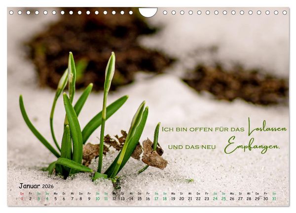 Produktbild: Weibliche Kraft - 12 Impulse zu deiner Wirksamkeit als Frau (Wandkalender 2026 DIN A4 quer), CALVENDO Monatskalender