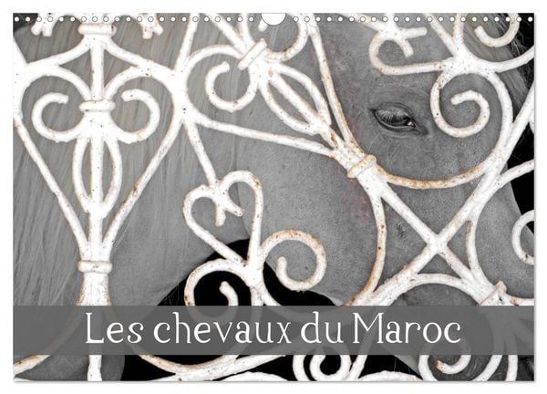 Produktbild: Les chevaux du Maroc (Calendrier mural 2026 DIN A3 vertical), CALVENDO calendrier mensuel