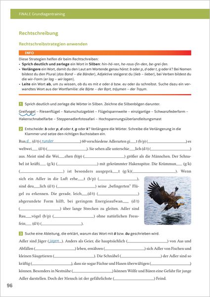 Produktbild: FiNALE Grundlagentraining &ndash; Hauptschulabschluss, Mittlerer Schulabschluss