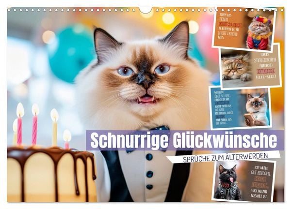 Schnurrige Glückwünsche - Sprüche zum Älterwerden (Wandkalender 2026 DIN A3 quer), CALVENDO Monatskalender
