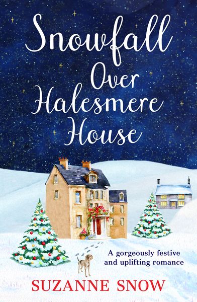 Produktbild: Snowfall Over Halesmere House