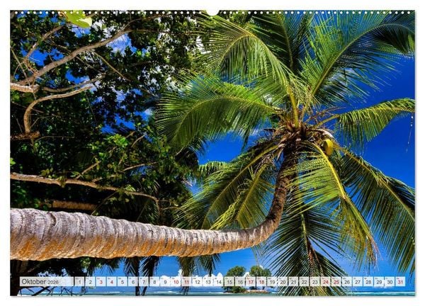 Produktbild: Die Seychellen - ganz nah am Paradies (hochwertiger Premium Wandkalender 2026 DIN A2 quer), Kunstdruck in Hochglanz